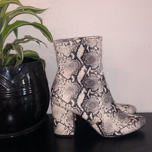 Madden Girl Rapidd Snake Boot